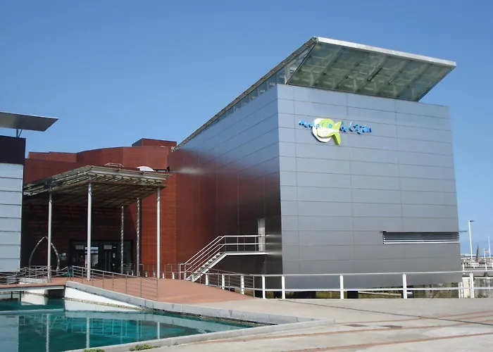 Playa A - Primera Linea De Playa - Wifi Gratis